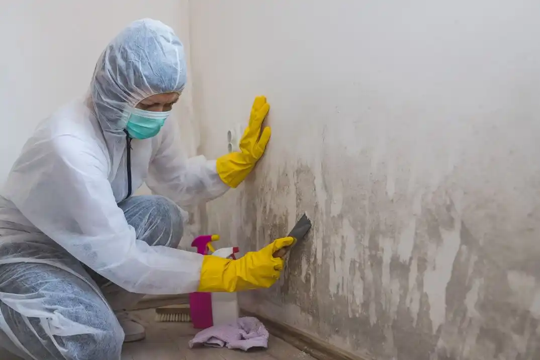water damage restoration service Chesapeake